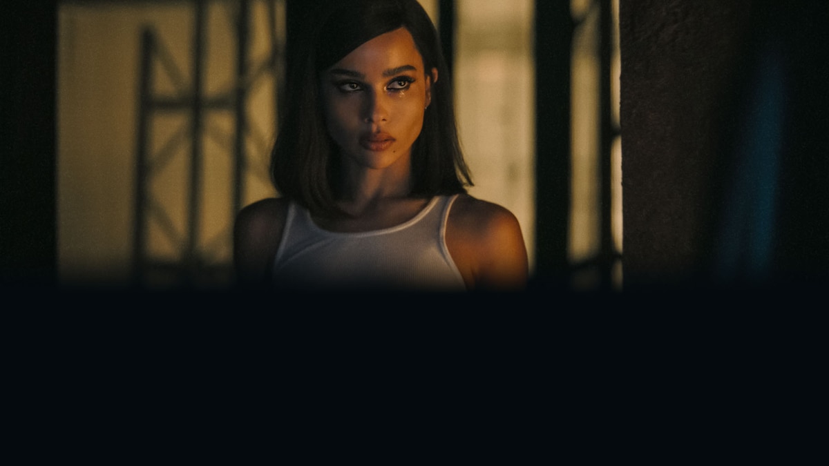 The Batman Movie Gallery